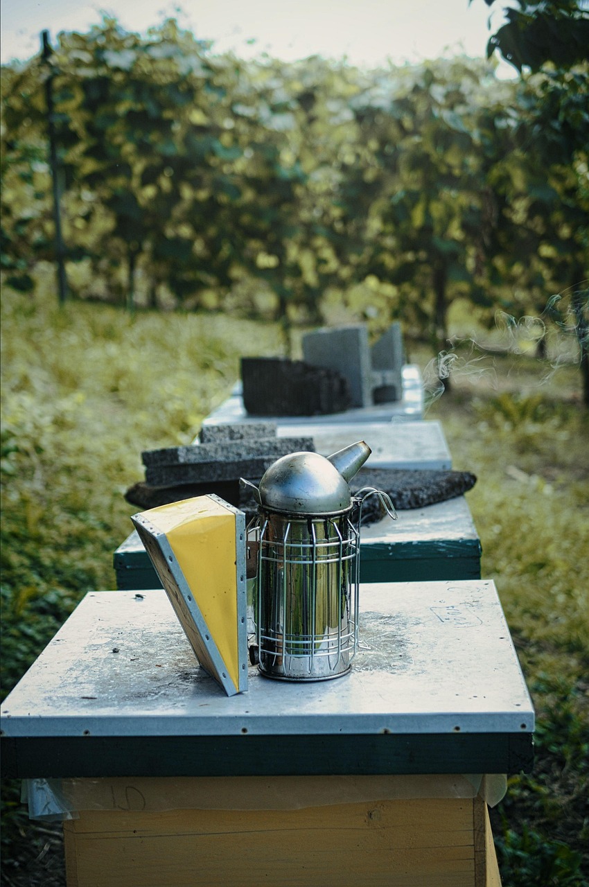 smoker, flower background, smoke, beekeeper, bees, honey bee, flower, honeycomb, nature, beautiful flowers, beehive, close up, calming, vineyard, beekeeping, pipe, beekeeping tool, tool, flower wallpaper, work