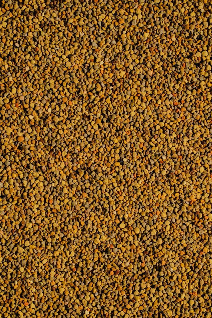 why-choose-us High-quality close-up image of natural bee pollen granules, perfect for food or health topics.